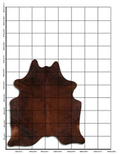 Načíst obrázek do prohlížeče Galerie, Exotická hovězí kůže L