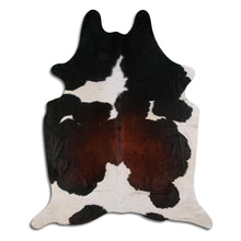 Įkelti vaizdą į galerijos rodinį, Trispalvis karvės kailis XXL