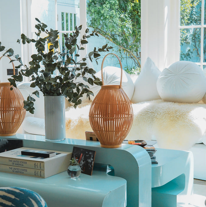 Jak měříme ovčí kůži? 