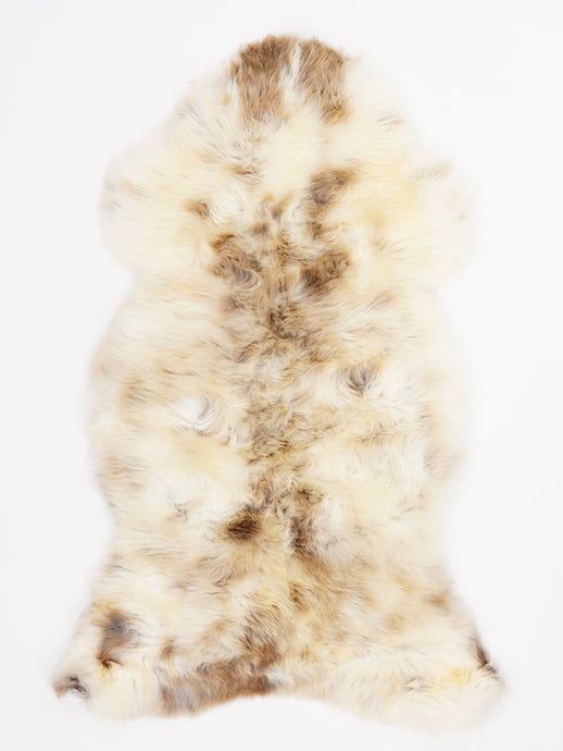 Įvairiaspalvis avikailis L