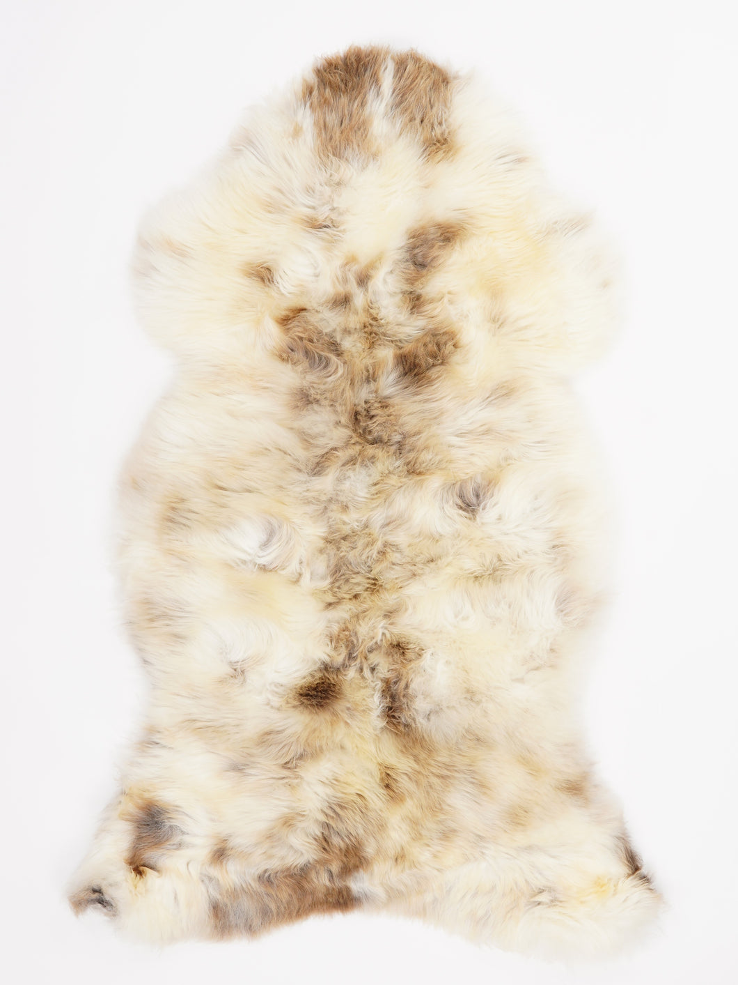 Įvairiaspalvis avikailis L