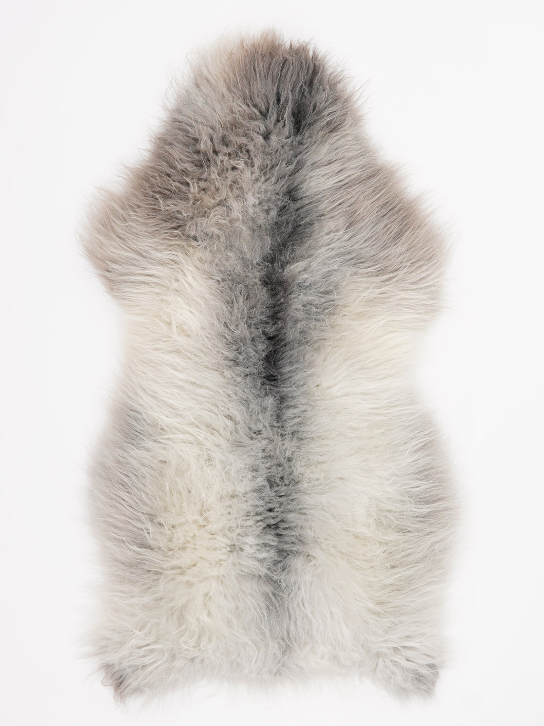 Įvairiaspalvis avikailis L