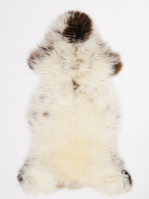 Įvairiaspalvis avikailis XL