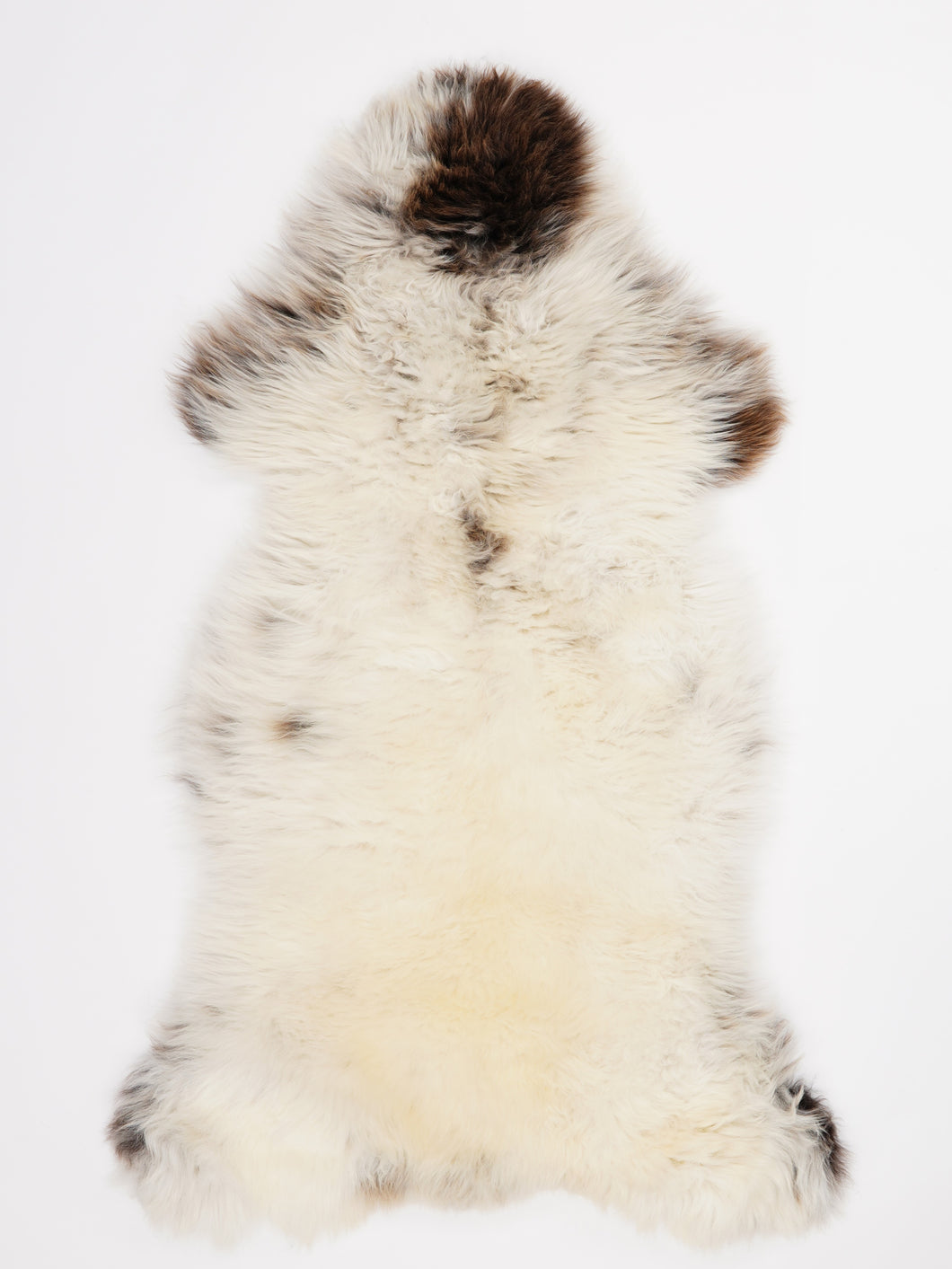 Įvairiaspalvis avikailis XL