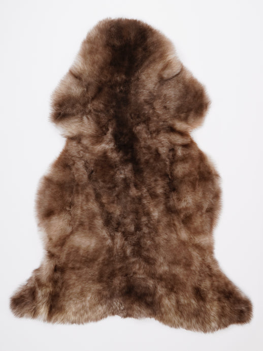 Įvairiaspalvis avikailis XL