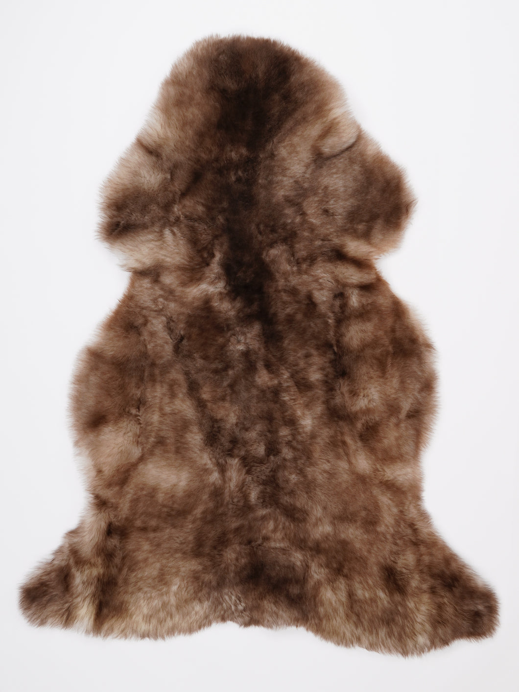 Įvairiaspalvis avikailis XL