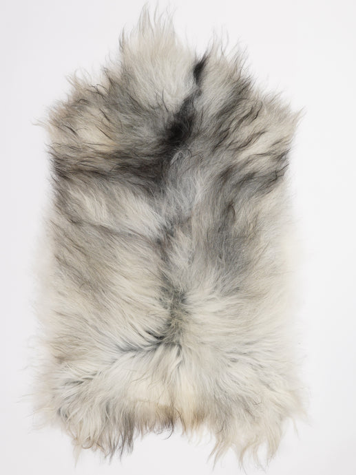 Islandiškas avikailis XL