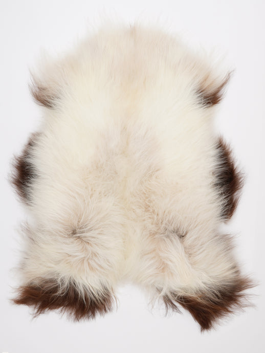 Islandiškas avikailis XL