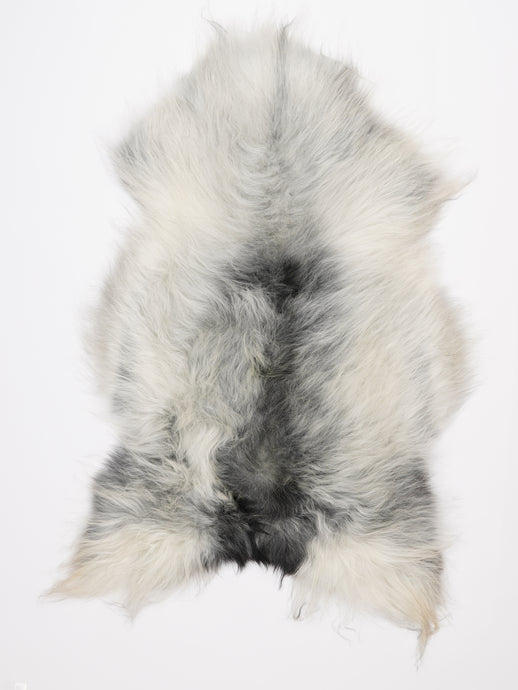 Islandiškas avikailis XL