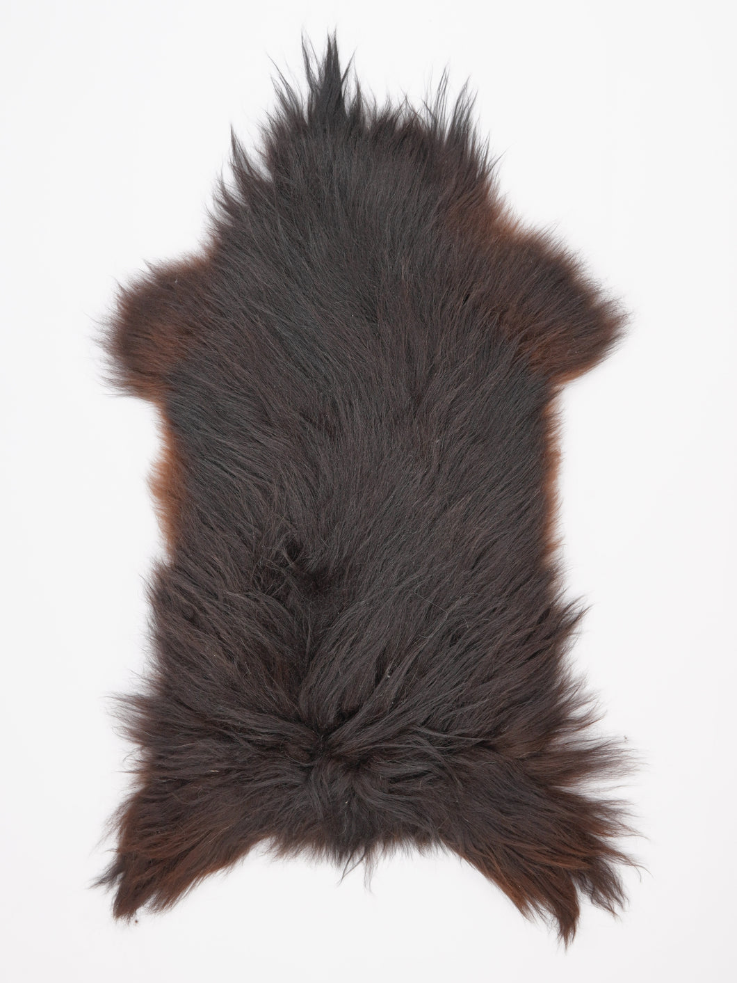 Islandiškas avikailis XL