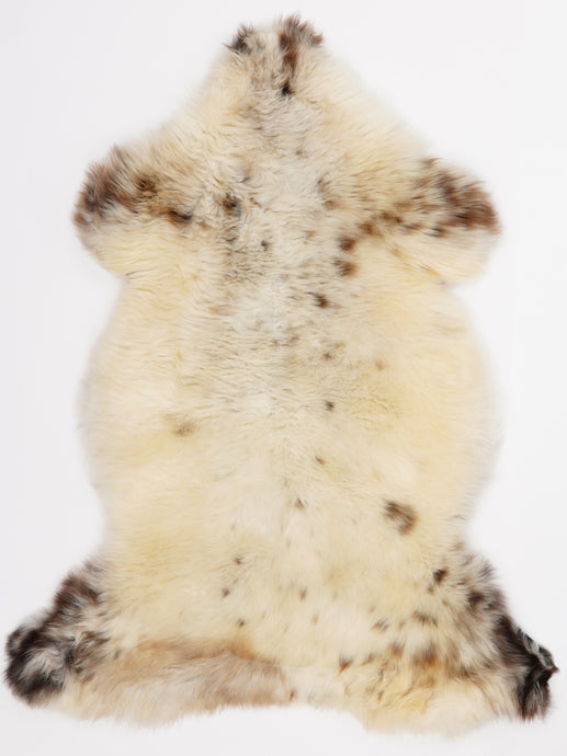 Įvairiaspalvis avikailis L