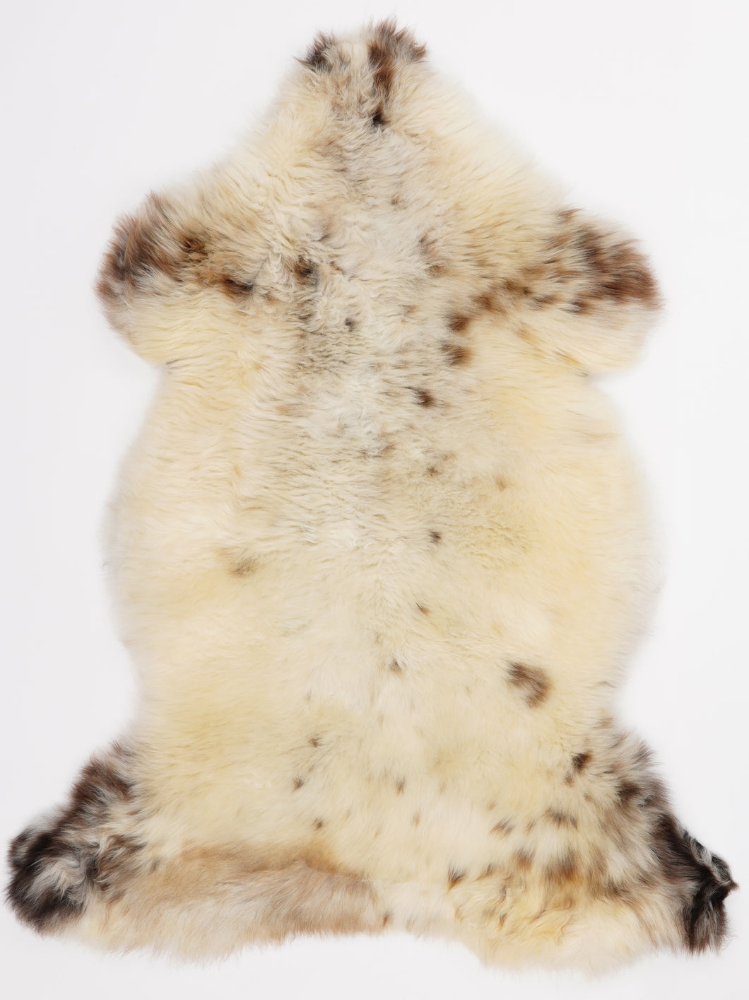 Įvairiaspalvis avikailis L