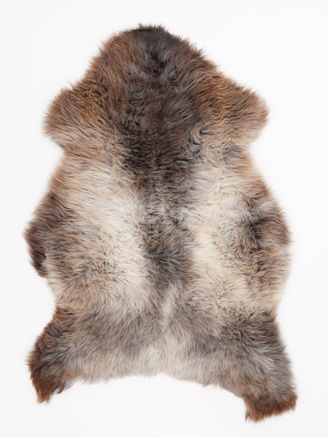 Įvairiaspalvis avikailis XL