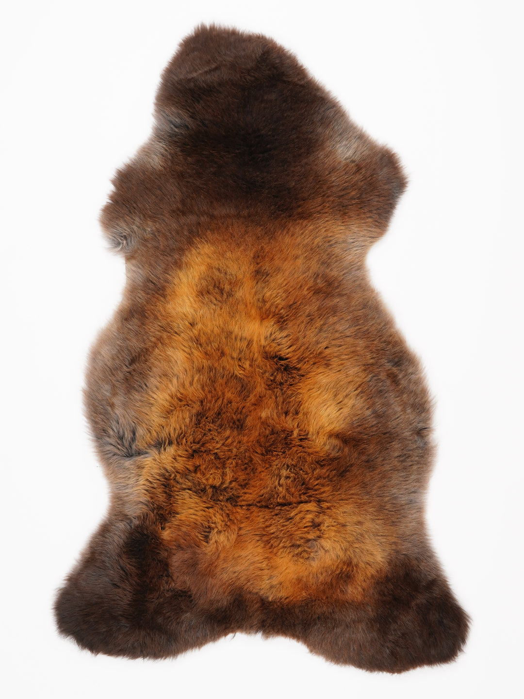 "Rusty" Įvairiaspalvis avikailis XL