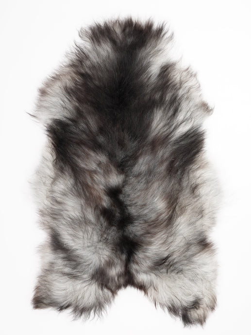 Pilkas islandiškas avikailis XXL