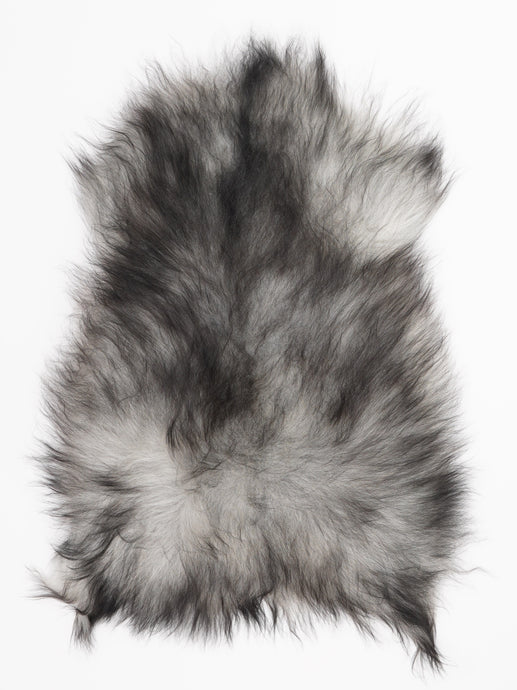 Pilkas islandiškas avikailis M