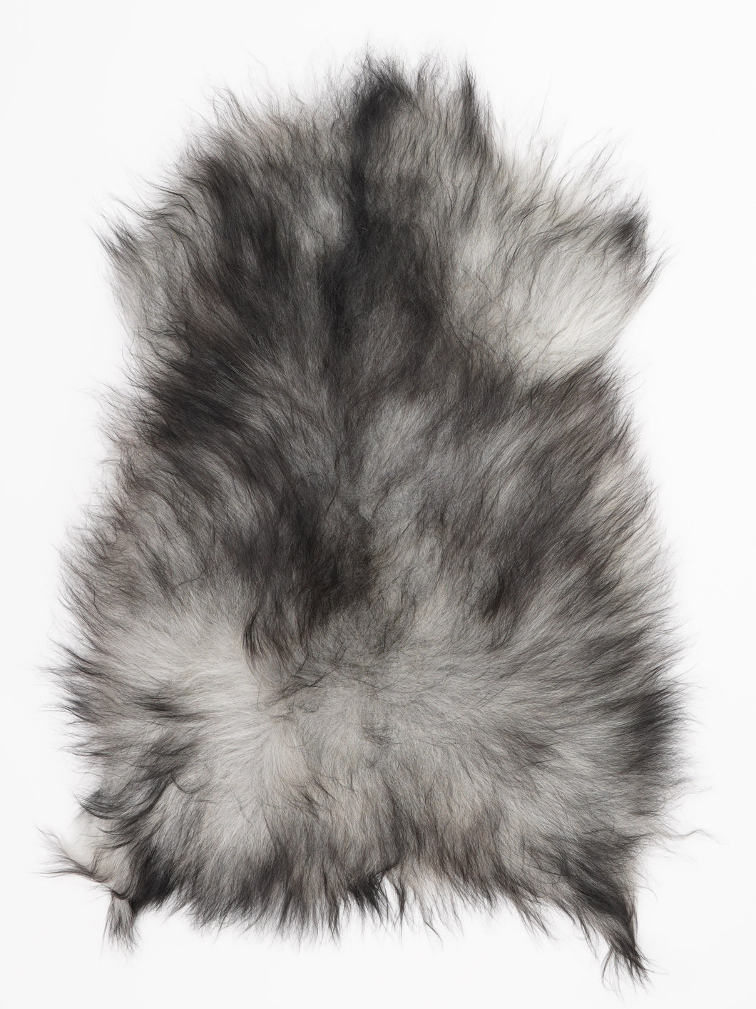 Pilkas islandiškas avikailis M