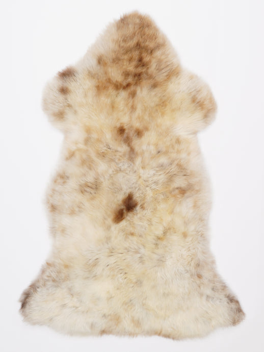 Įvairiaspalvis avikailis L