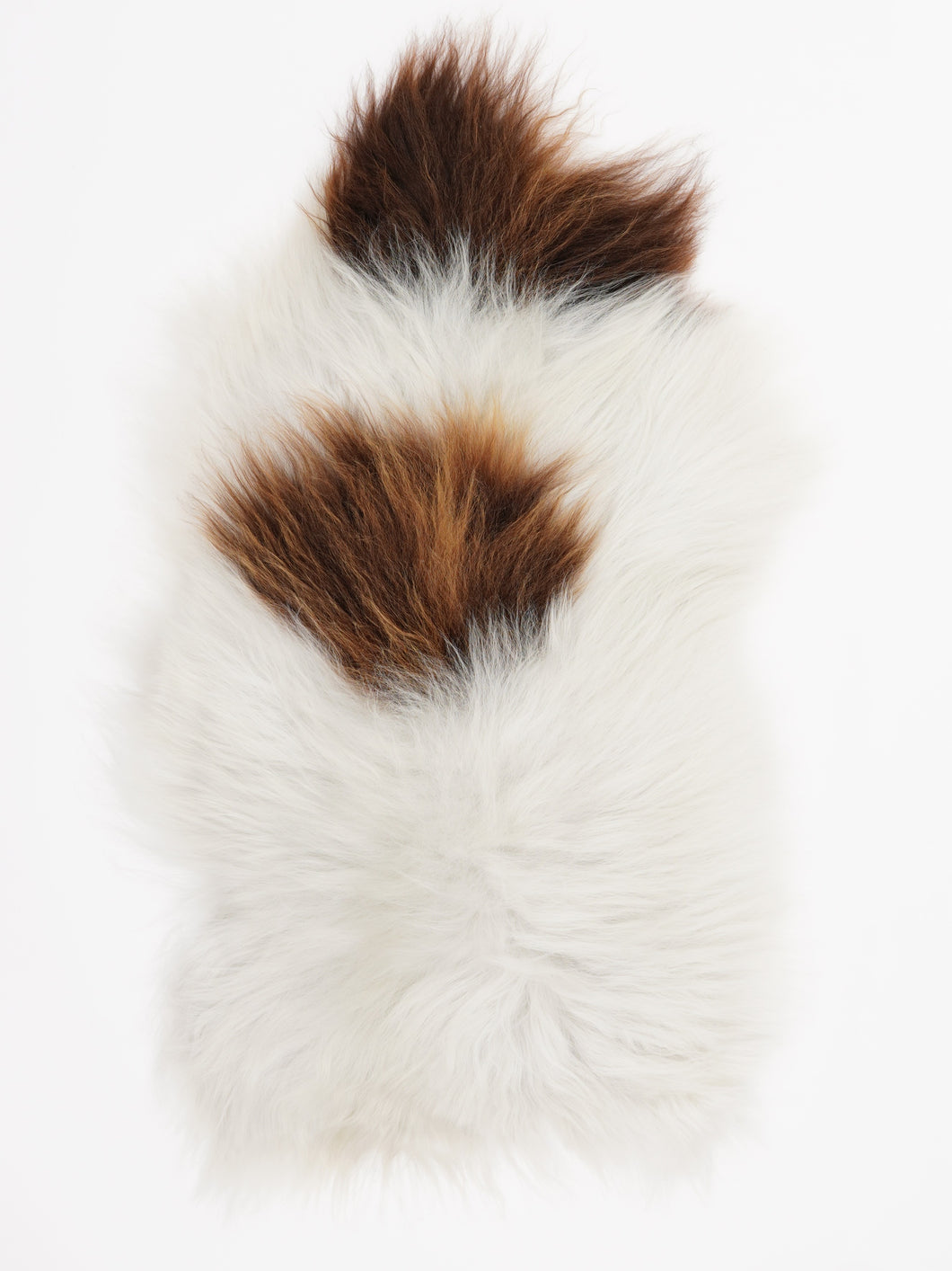 Islandiškas avikailis M