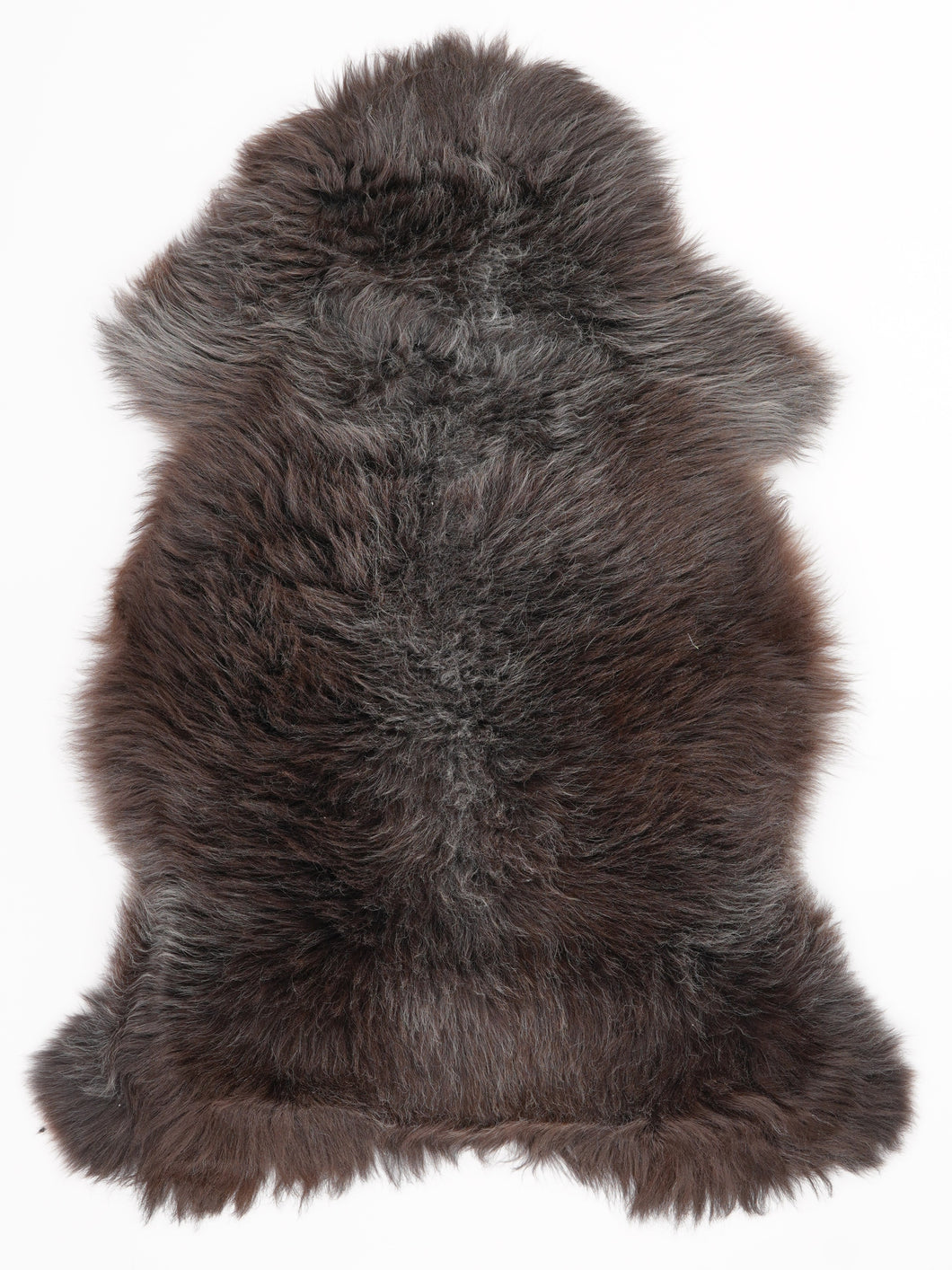 Įvairiaspalvis avikailis L