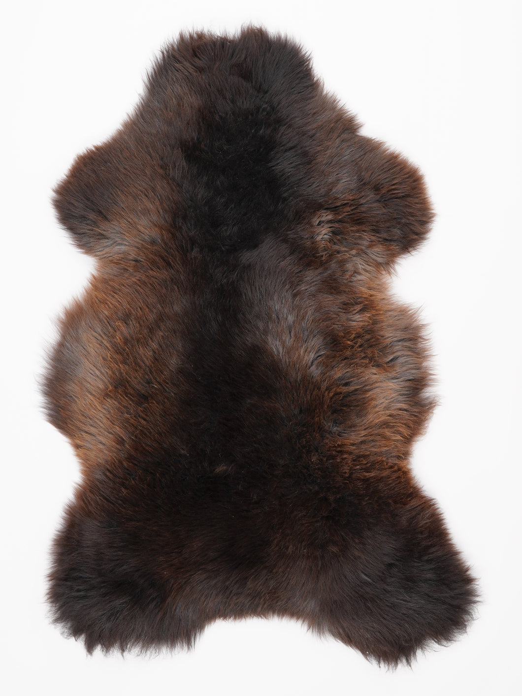 Įvairiaspalvis avikailis XL