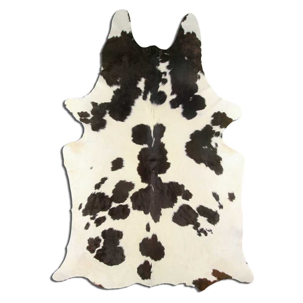 Černá a bílá hovězí kůže XXL
