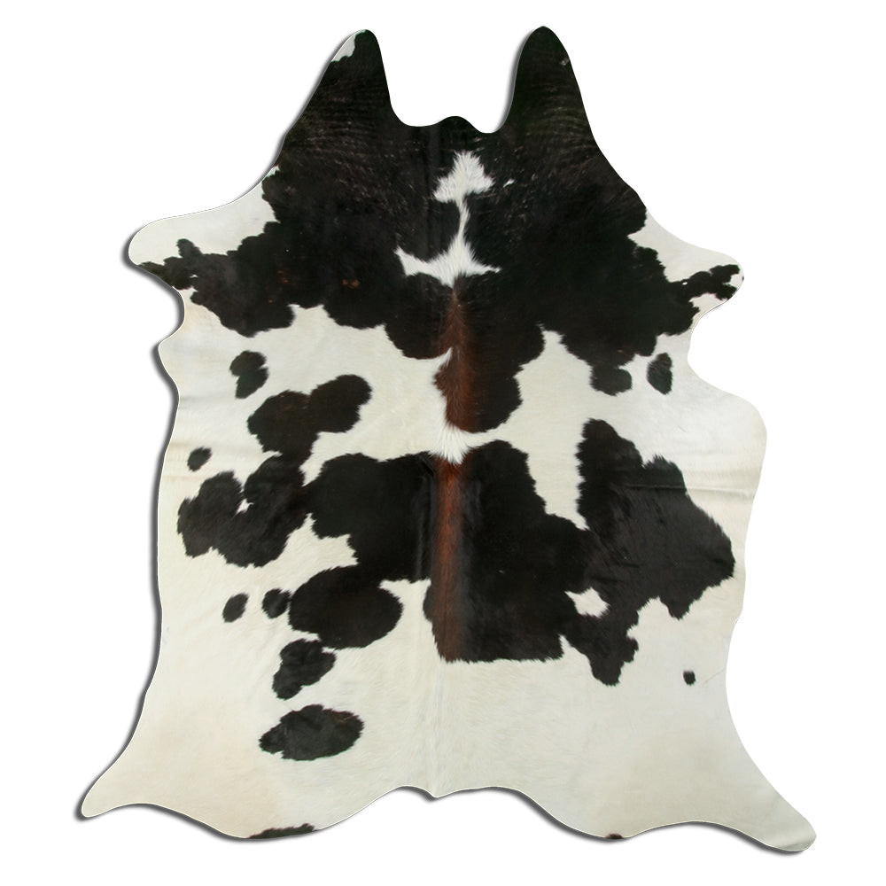 Hnědá hovězí kůže XL