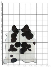 Načíst obrázek do prohlížeče Galerie, Černá a bílá hovězí kůže XL
