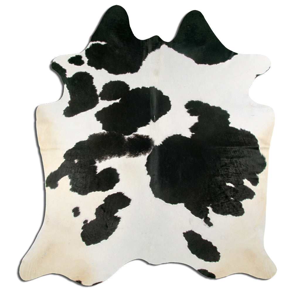 Černá a bílá hovězí kůže XXL