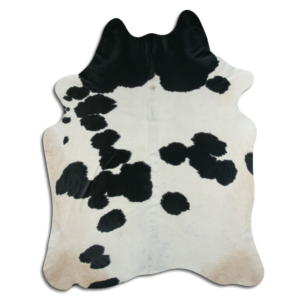Černá a bílá hovězí kůže XXL