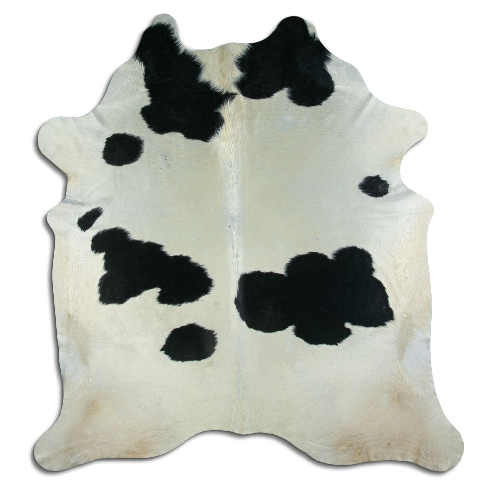 Černá a bílá hovězí kůže XXL