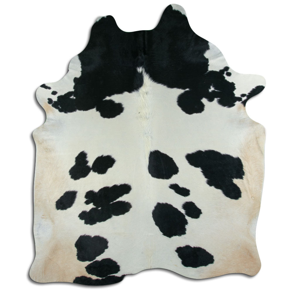 Černá a bílá hovězí kůže XXL