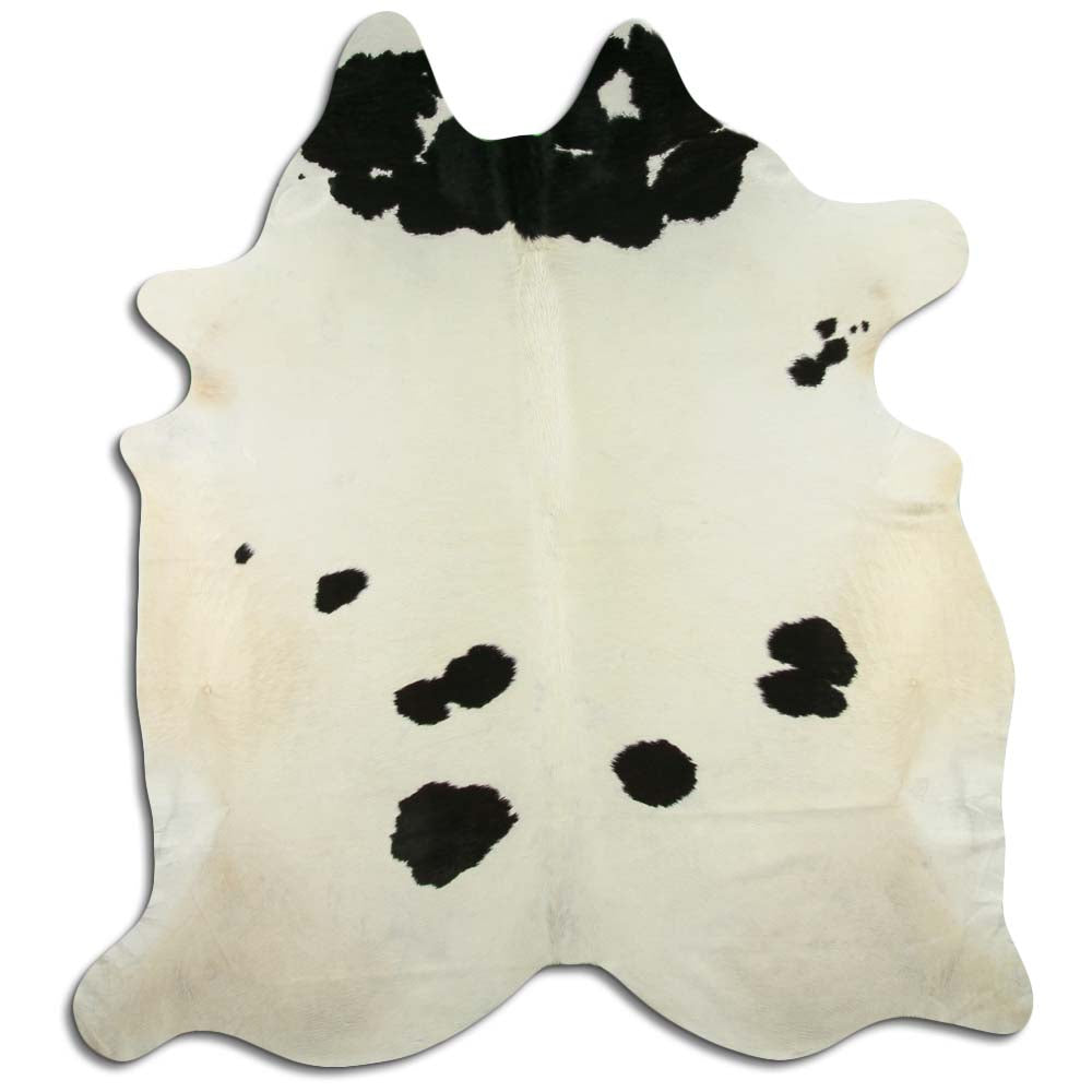 Černá a bílá hovězí kůže XXL