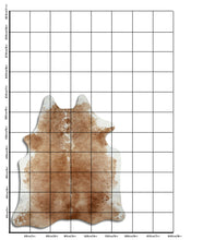 Įkelti vaizdą į galerijos rodinį, Šampaninis karvės kailis L
