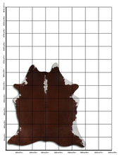 Įkelti vaizdą į galerijos rodinį, Rudas karvės kailis L
