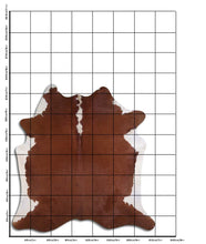 Načíst obrázek do prohlížeče Galerie, Hnědá hovězí kůže XL
