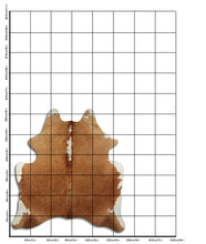 Načíst obrázek do prohlížeče Galerie, Hnědá hovězí kůže M
