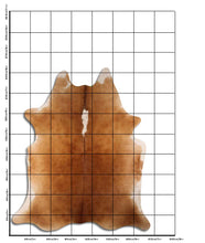 Įkelti vaizdą į galerijos rodinį, Rudas karvės kailis XXL
