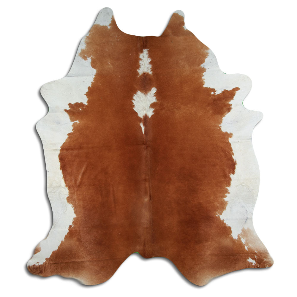 Hnědá hovězí kůže XXL