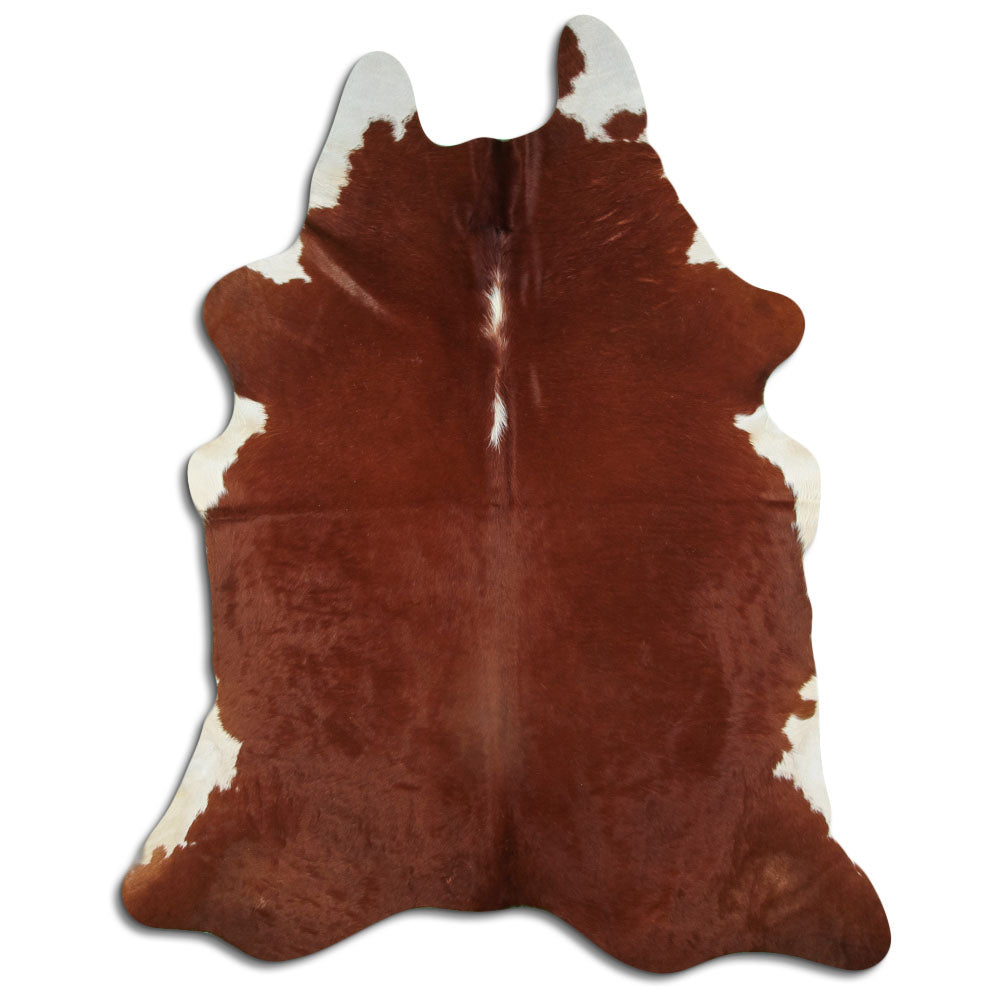 Hnědá hovězí kůže XXL