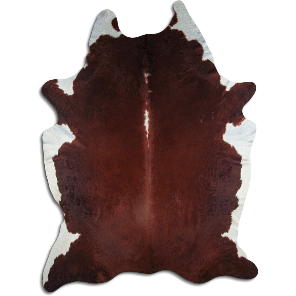 Hnědá hovězí kůže XXXL