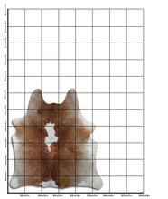 Įkelti vaizdą į galerijos rodinį, Rudas karvės kailis L
