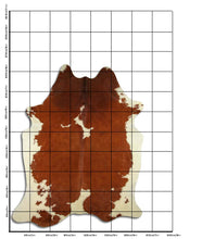 Načíst obrázek do prohlížeče Galerie, Hnědá hovězí kůže XXL
