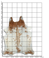 Načíst obrázek do prohlížeče Galerie, Hnědá hovězí kůže XXXL
