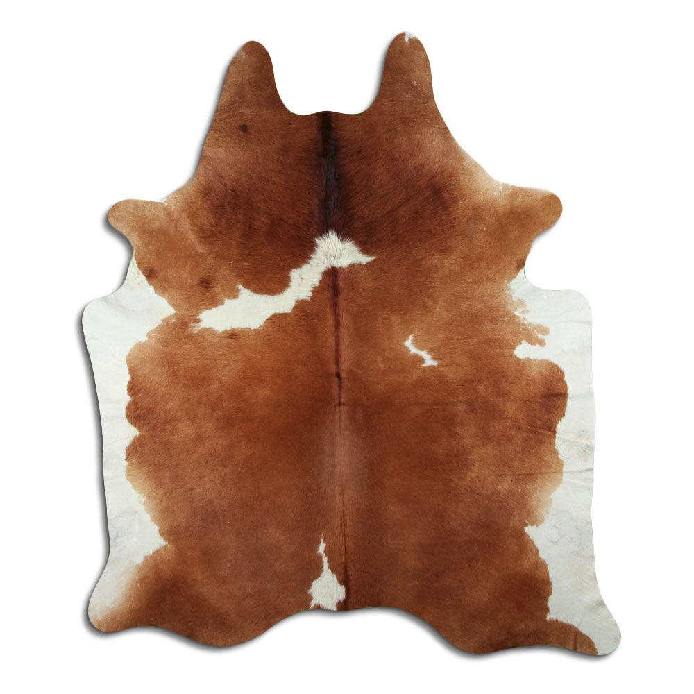 Hnědá hovězí kůže XL