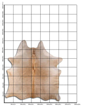 Načíst obrázek do prohlížeče Galerie, Šampaňská hovězí kůže XL
