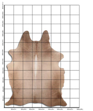 Įkelti vaizdą į galerijos rodinį, Šampaninis karvės kailis XXL
