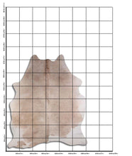 Įkelti vaizdą į galerijos rodinį, Šampaninis karvės kailis XL
