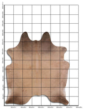 Įkelti vaizdą į galerijos rodinį, Šampaninis karvės kailis XXL
