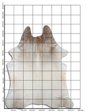 Įkelti vaizdą į galerijos rodinį, Pilkas karvės kailis XXXL
